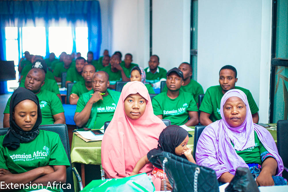 Extension Africa Academy