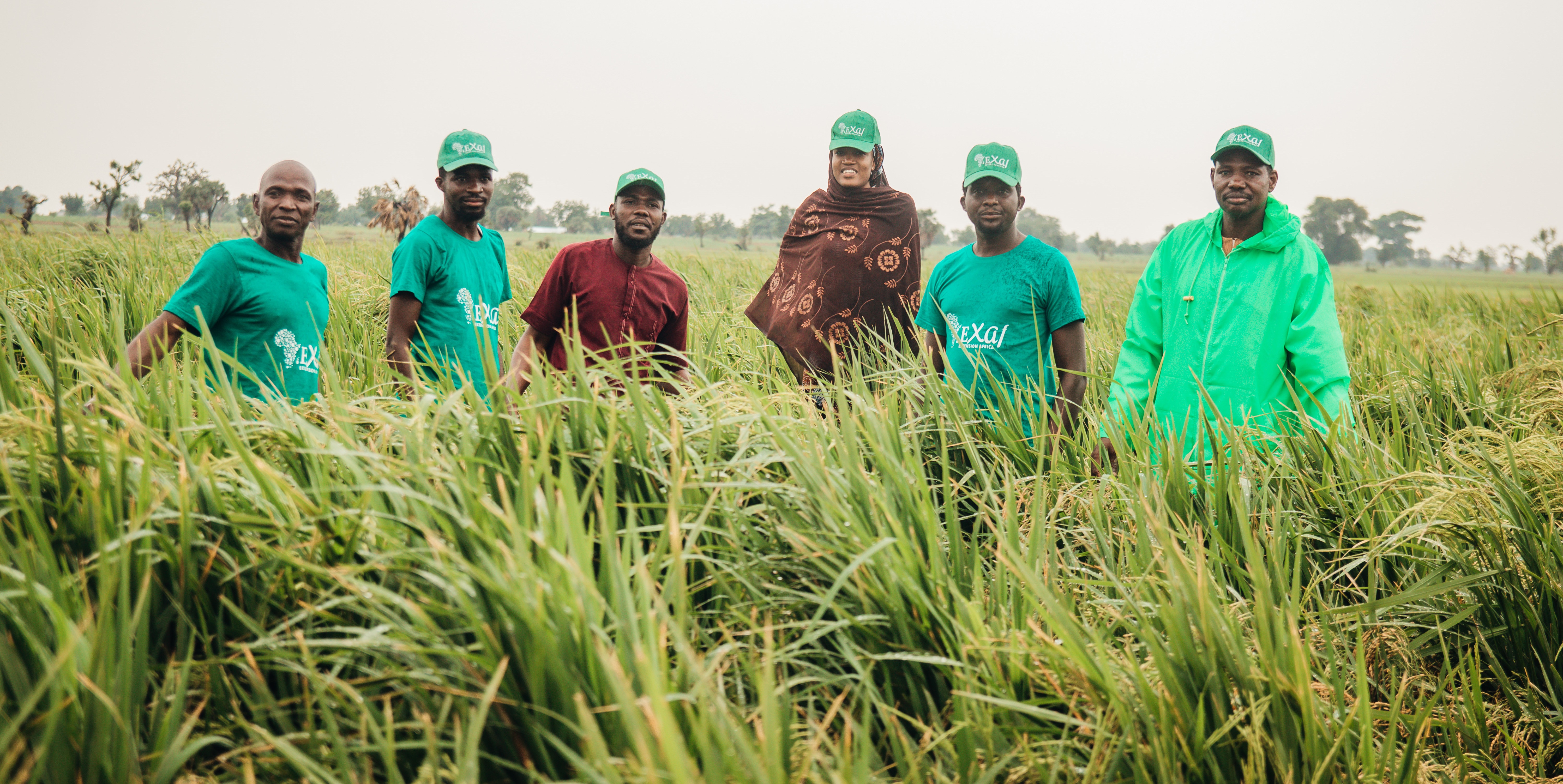 Collaborative Solutions